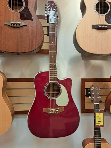 Takamine JJ325SRC-12 JOHN JORGENSON